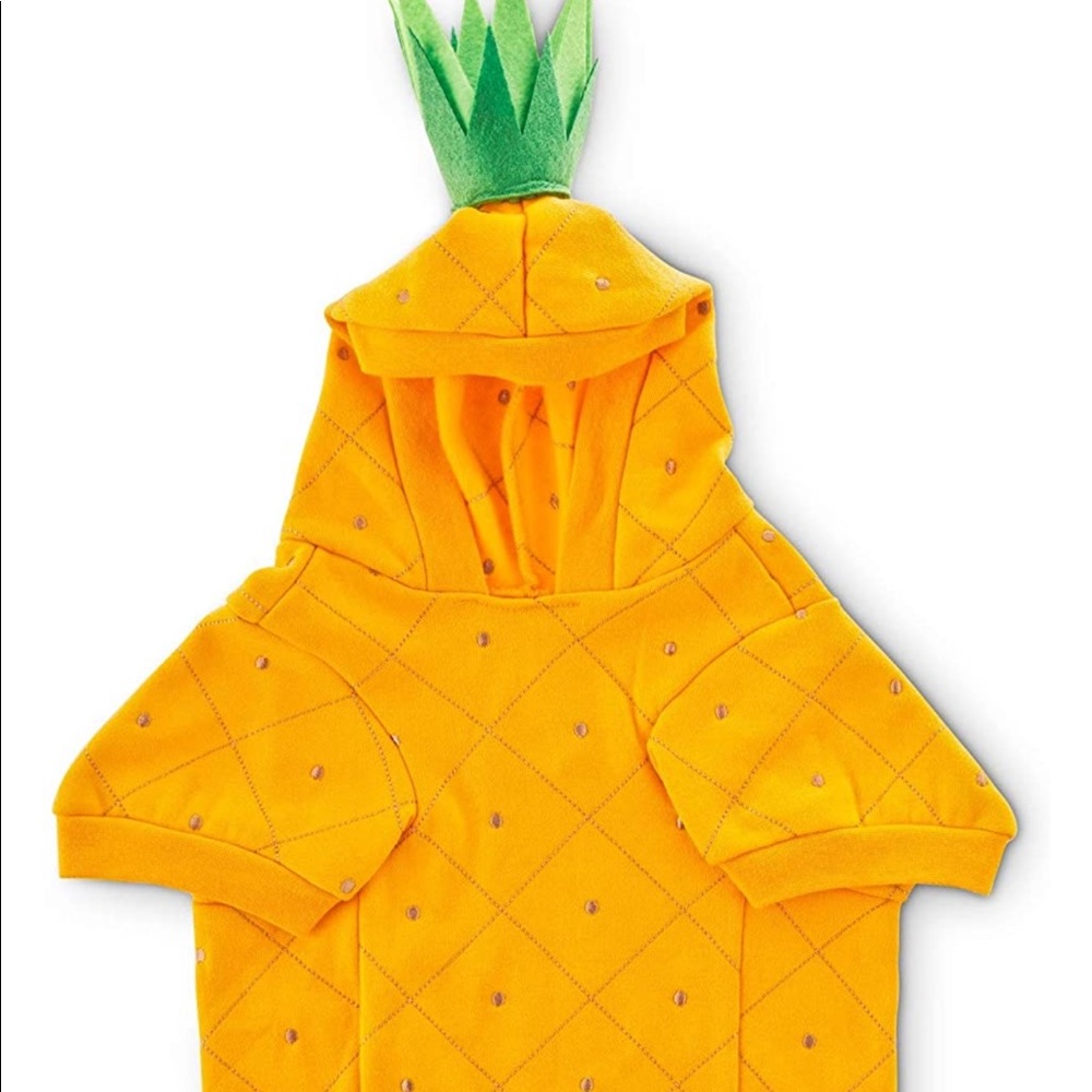 HP 2X π PINEAPPLE π PiΓ±a Colada DOG costume XS dress up - Picture 6 of 6